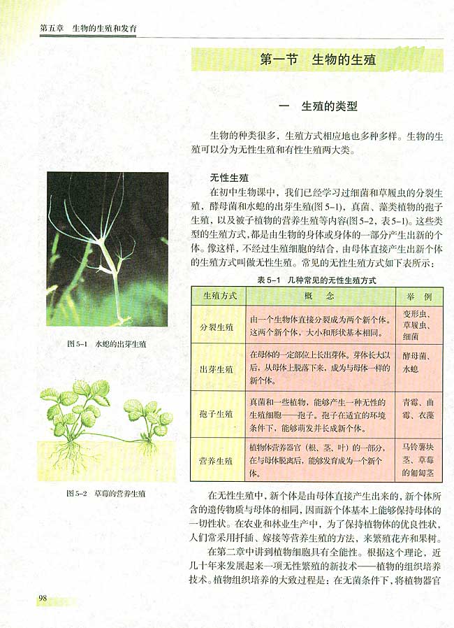 第一节 生物的生殖  一 生殖的类型(第98页)