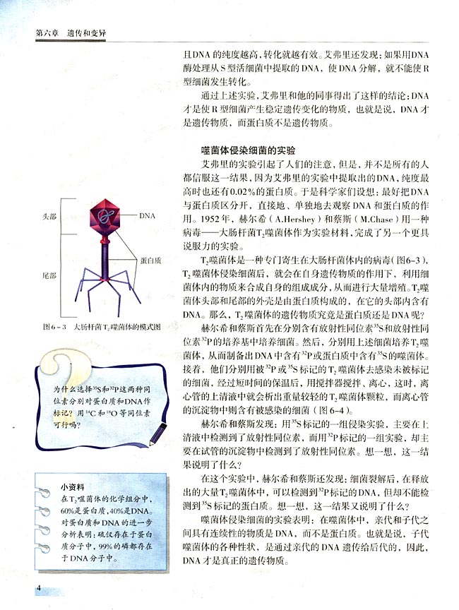 一 DNA是主要的遗传物质(第4页)