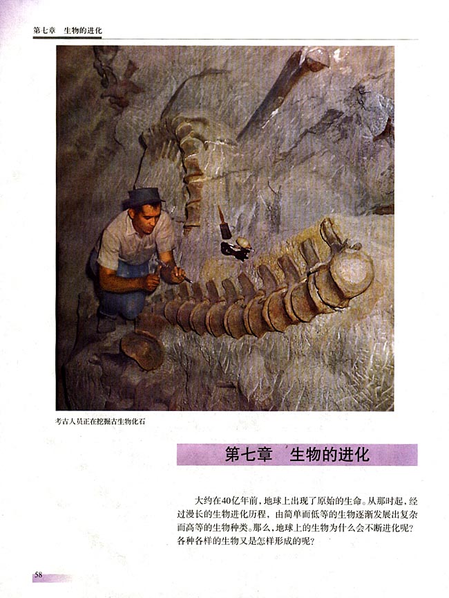 第七章 生物的进化(第58页)