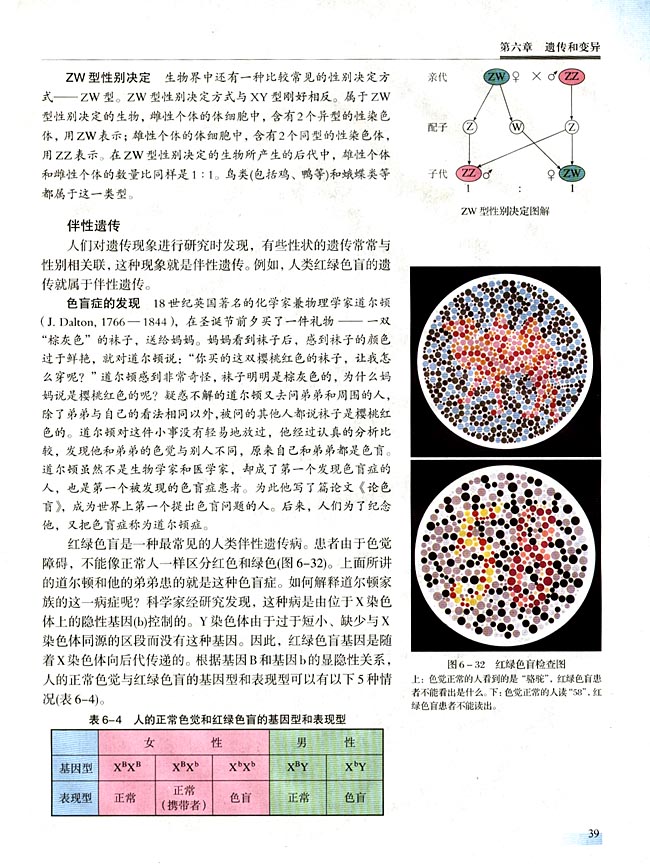 第三节 性别决定和伴性遗传(第39页)