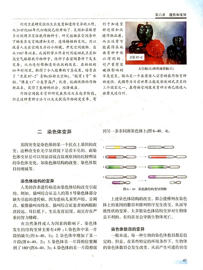 二 染色体变异(第47页)