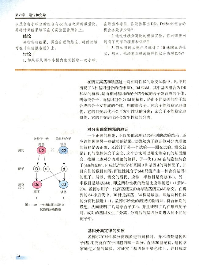 【实验十一】 性状分离比的模拟实验(第24页)