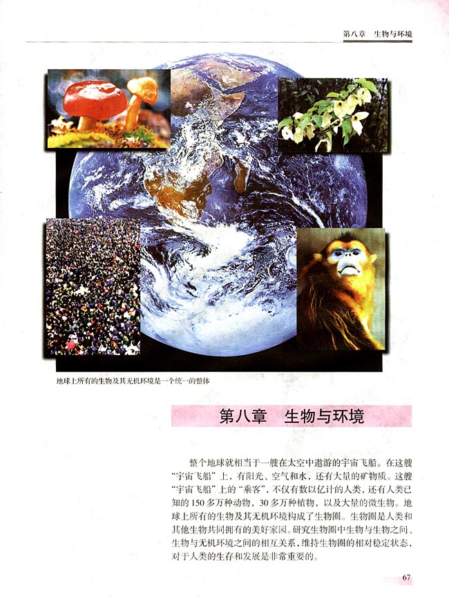 第八章 生物与环境(第67页)