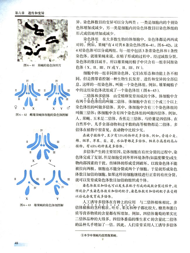 二 染色体变异(第48页)
