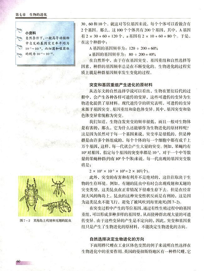 第七章 生物的进化(第60页)