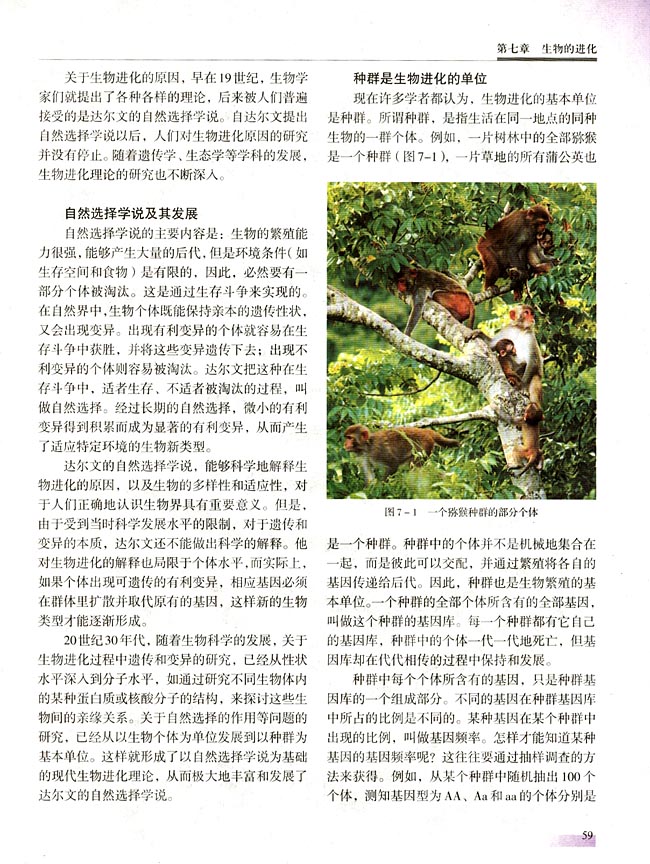 第七章 生物的进化(第59页)