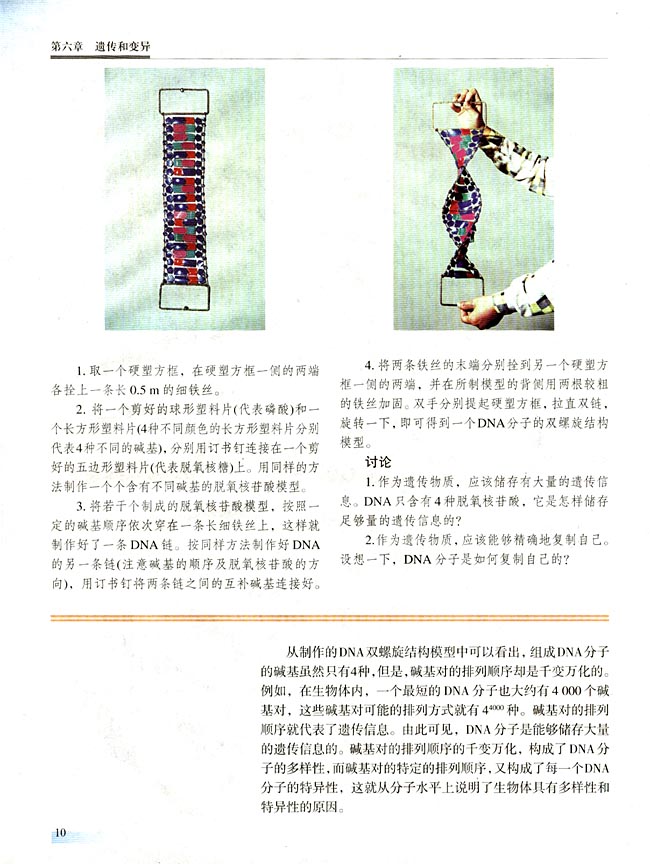 【实验十】 制作DNA双螺旋结构模型(第10页)