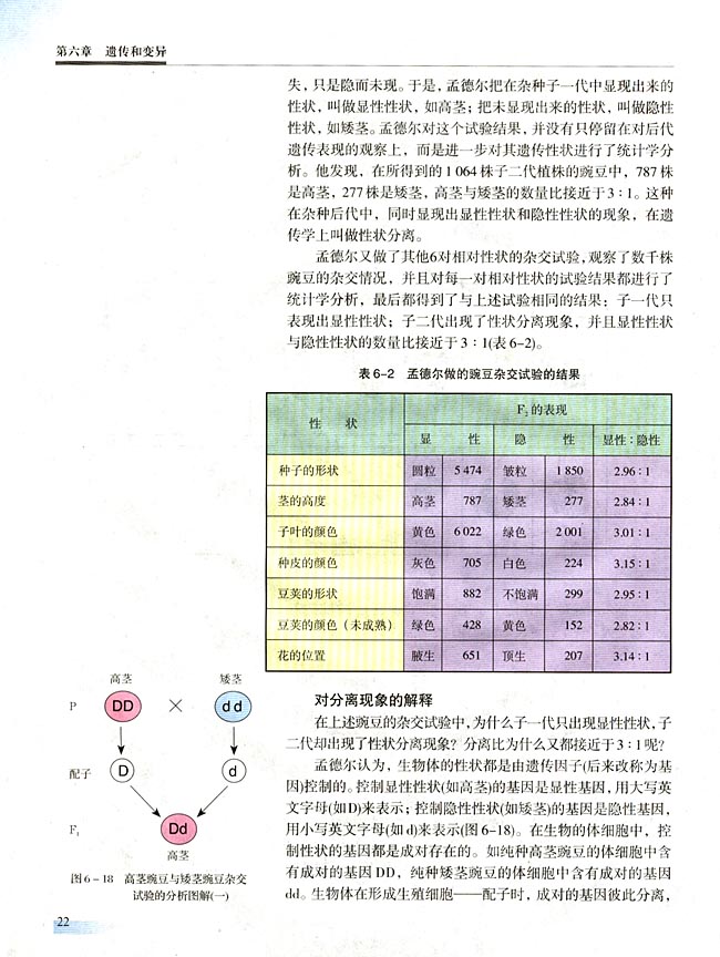 一 基因的分离定律(第22页)