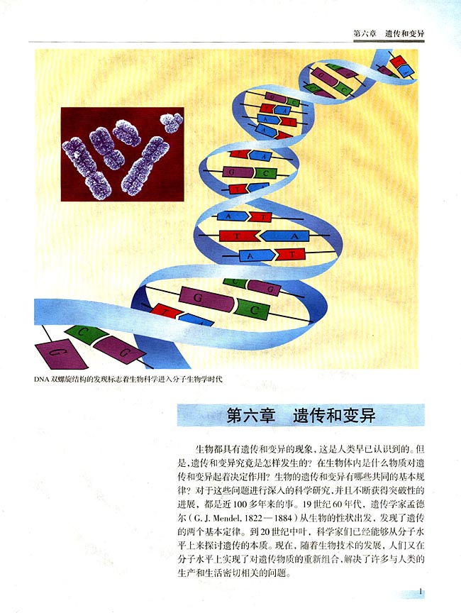 第六章 遗传和变异(第1页)