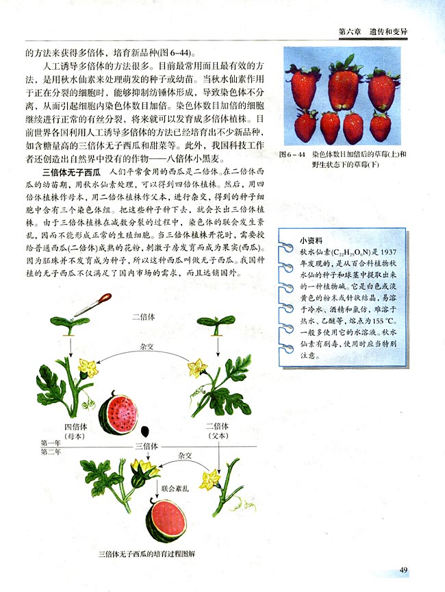 二 染色体变异(第49页)
