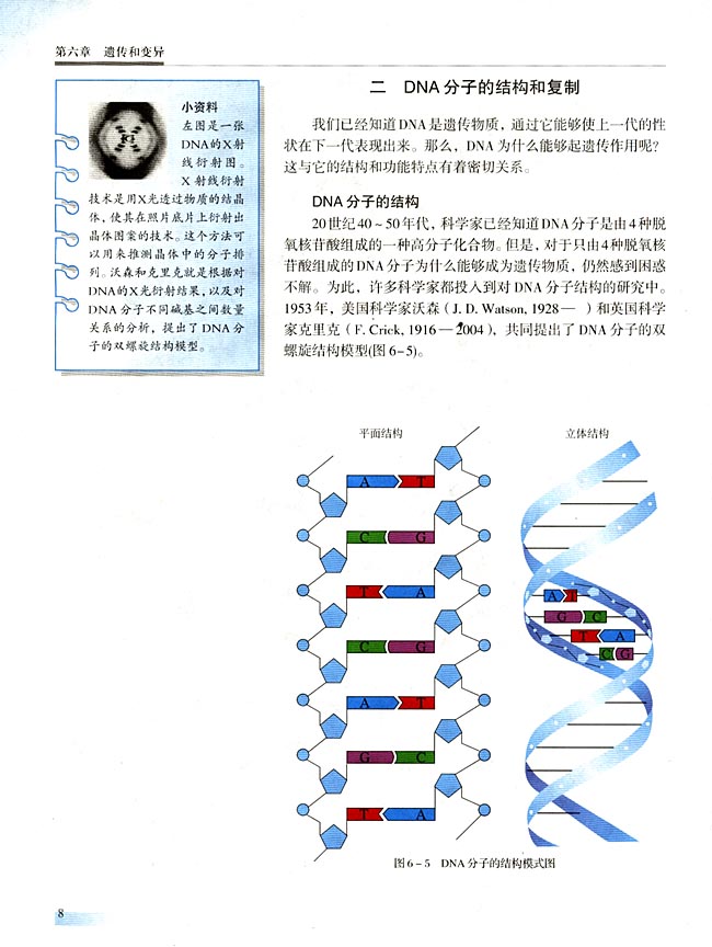 二 DNA分子的结构和复制(第8页)