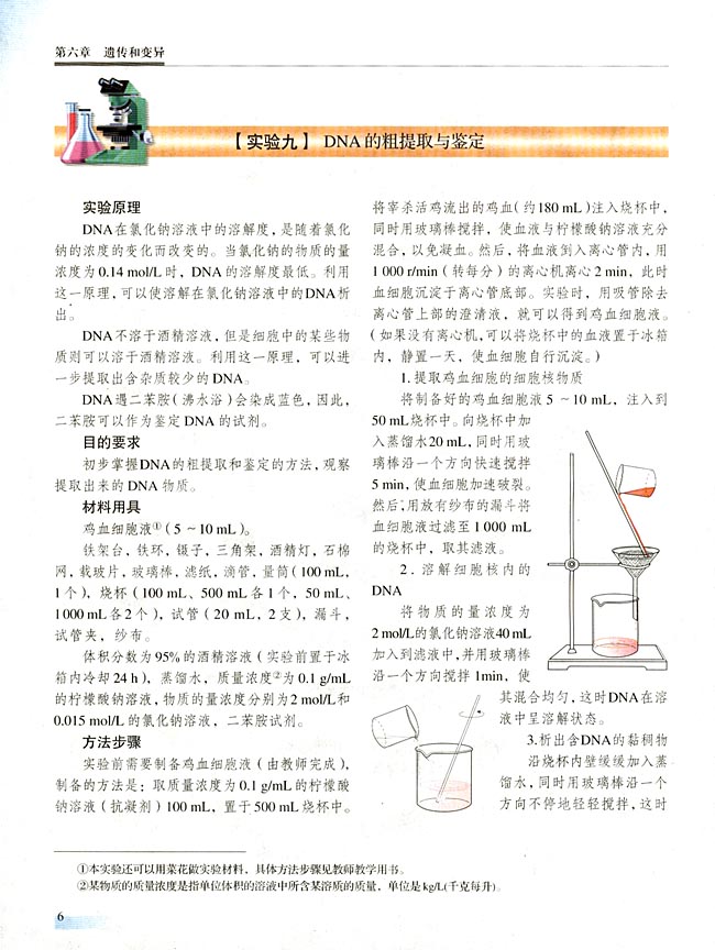 【实验九】 DNA的粗提取与鉴定(第6页)