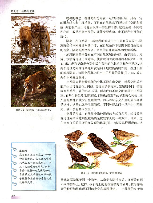 第七章 生物的进化(第62页)