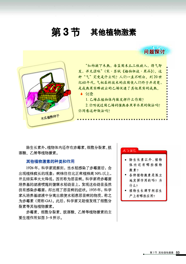 第3节 其他植物激素(第53页)