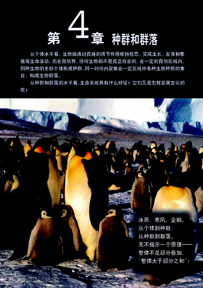 第4章 种群和群落(第59页)