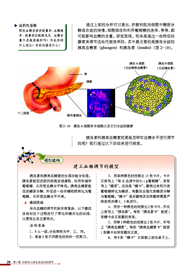 第2节 通过激素的调节(第26页)