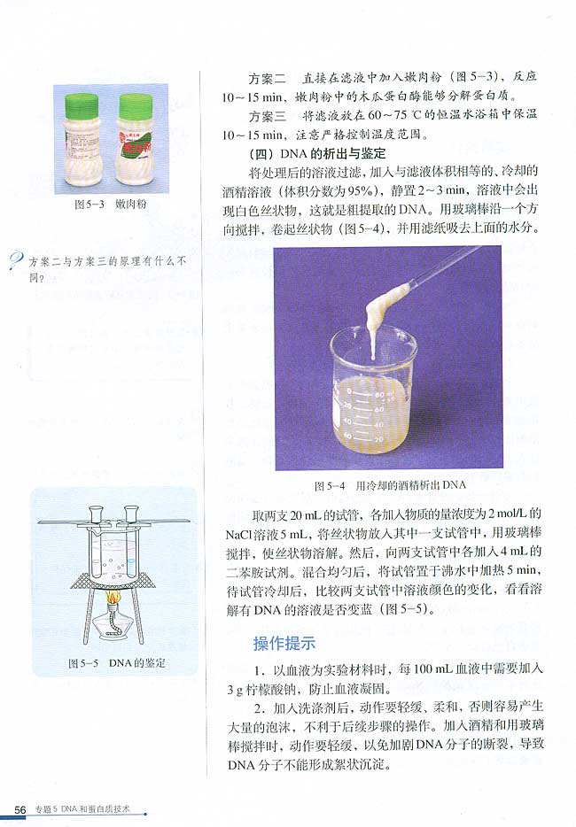 课题1 DNA的粗提取与鉴定(第56页)