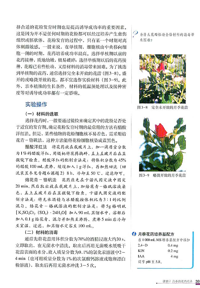 课题2 月季的花药培养(第39页)