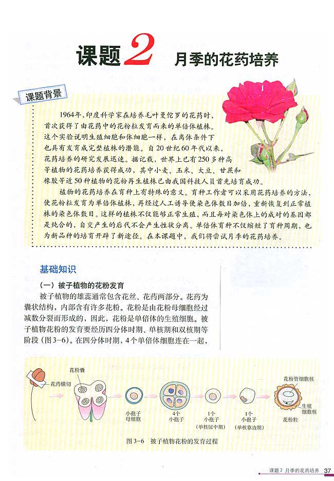 课题2 月季的花药培养(第37页)