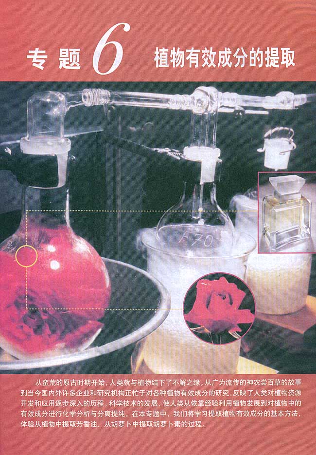 专题6 植物有效成分的提取(第71页)