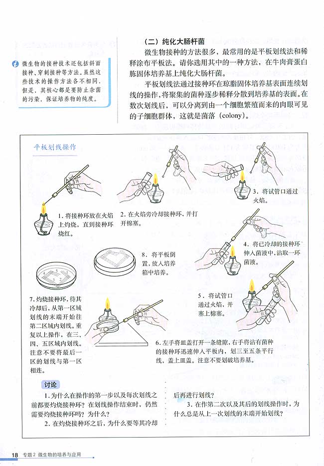 课题1 微生物的实验室培养(第18页)