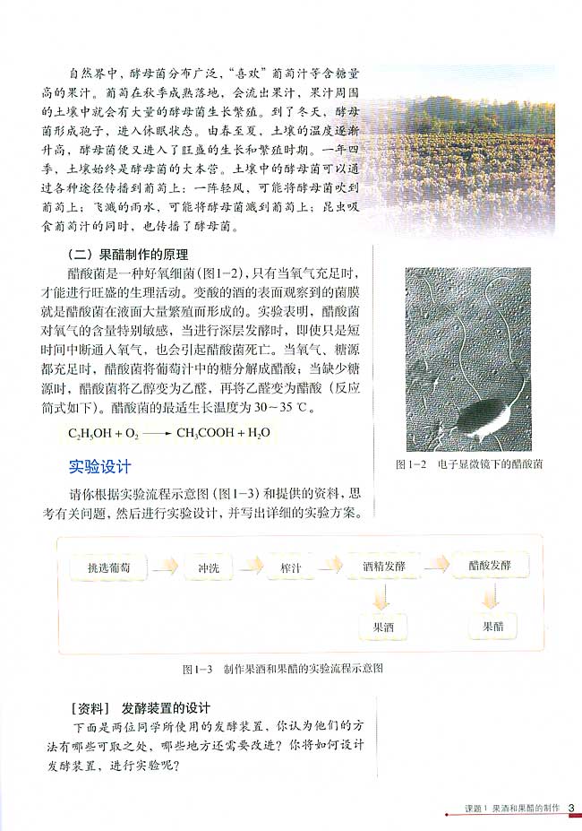 课题1 果酒和果醋的制作(第3页)
