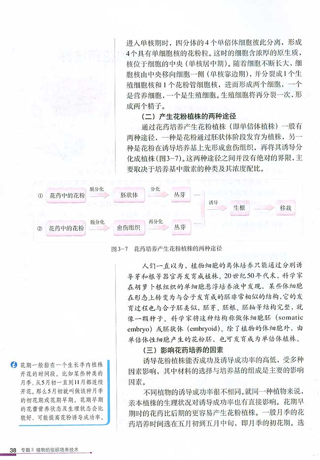 课题2 月季的花药培养(第38页)