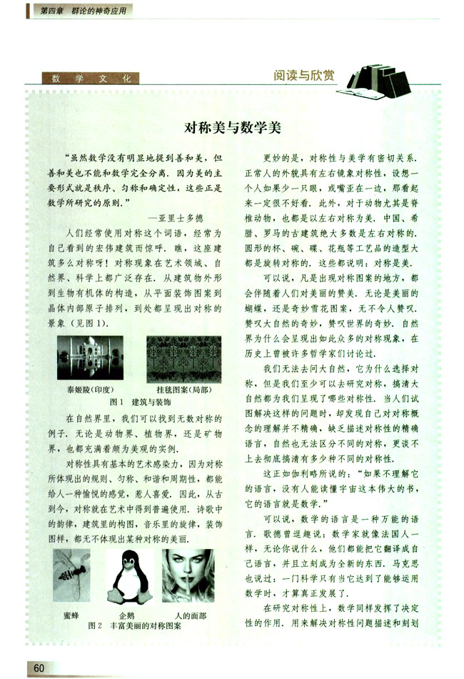 阅读与欣赏 对称美与数学美(第60页)
