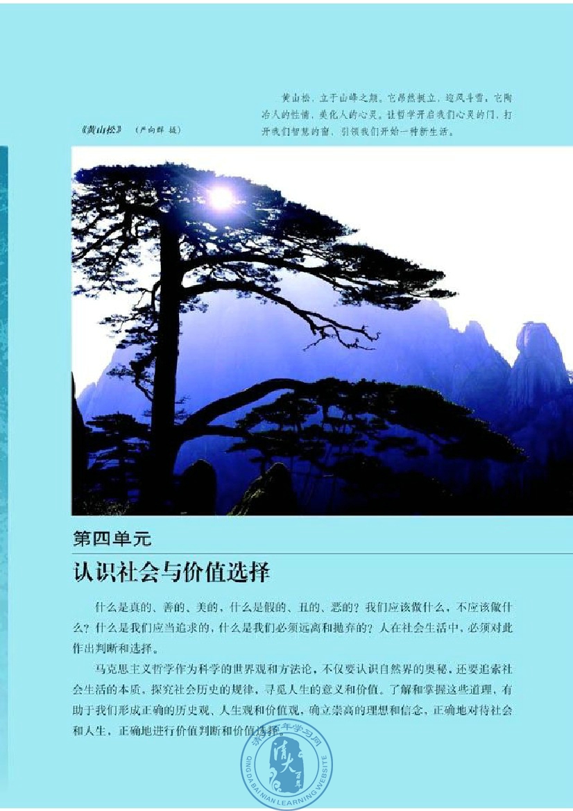 第四单元 认识社会与价值选择(第85页)
