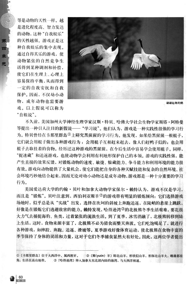 12 动物游戏之迷(第60页)