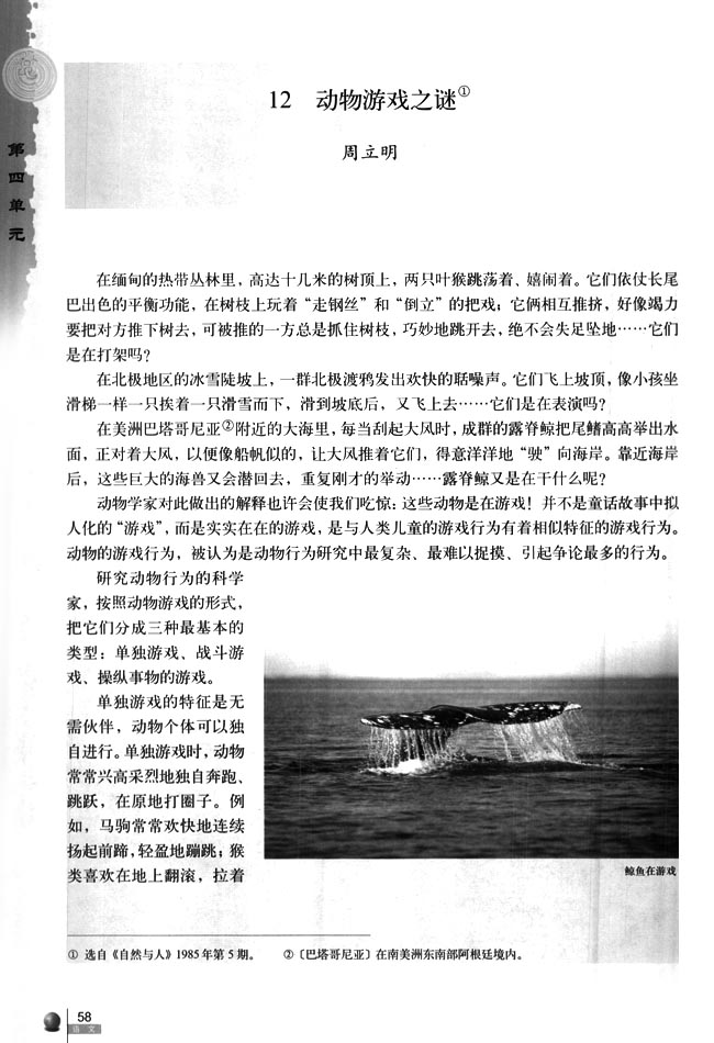 12 动物游戏之迷(第58页)