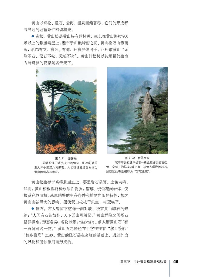 第三节 中外著名旅游景观欣赏(第45页)