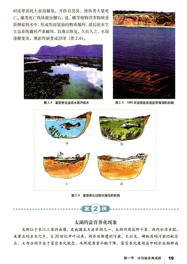 第一节 水污染及其成因(第19页)