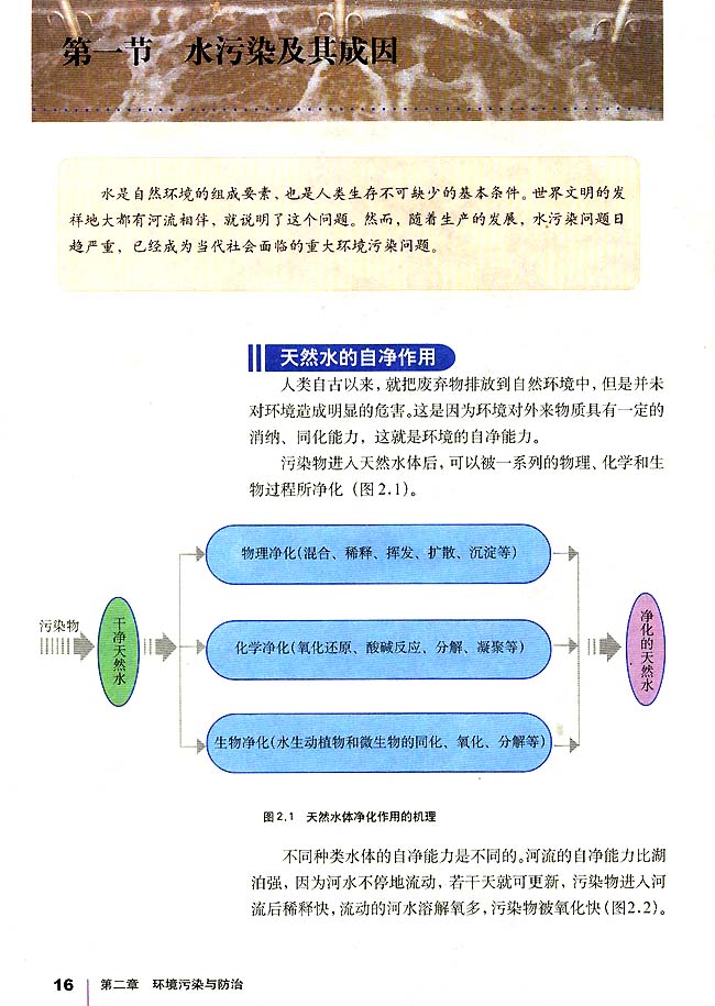 第一节 水污染及其成因(第16页)