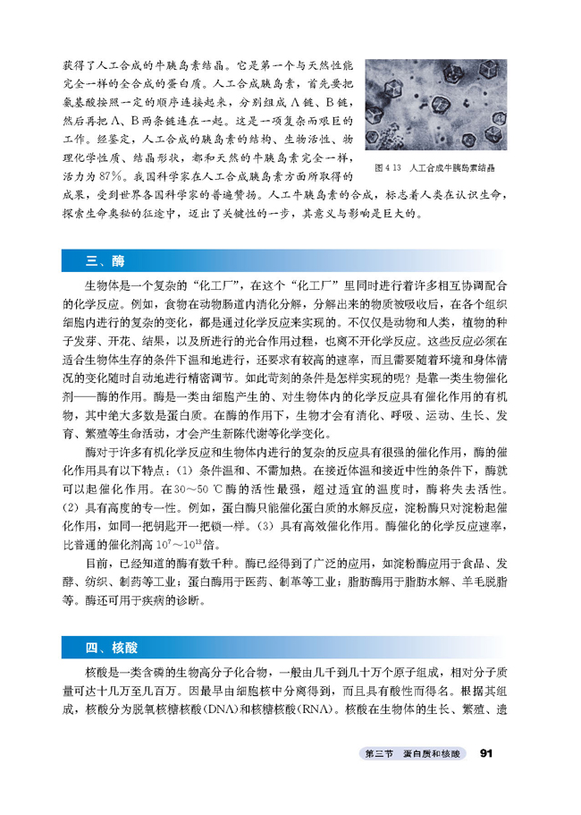 3 蛋白质和核酸(第91页)