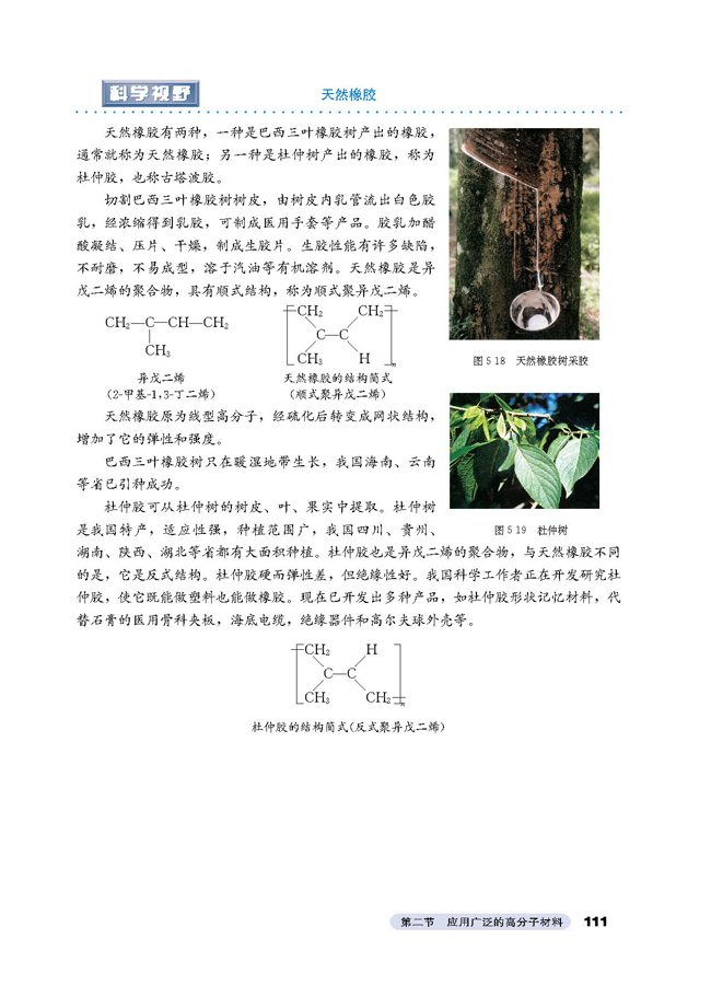 2 应用广泛的高分子材料(第111页)