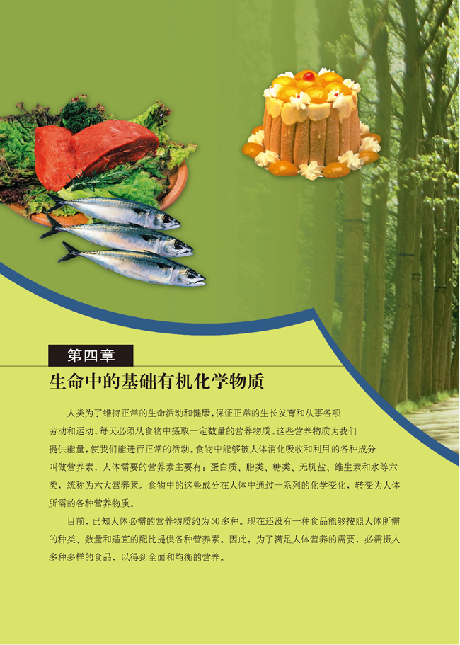 第四章 生命中的基础有机化学物质(第72页)