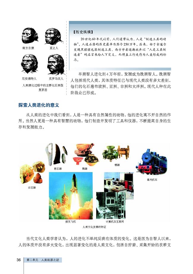 第2课 人类进化的历程(第36页)