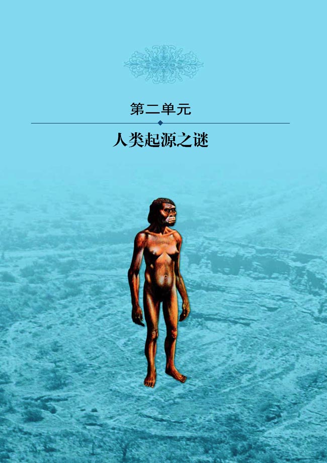 第二单元 人类起源之谜(第28页)