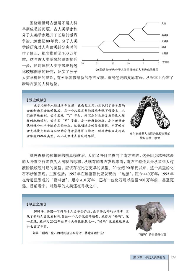 第3课 寻找人类的祖先(第39页)