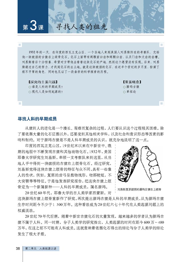 第3课 寻找人类的祖先(第38页)