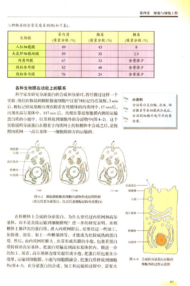 第一节 细胞的生物膜系统(第61页)