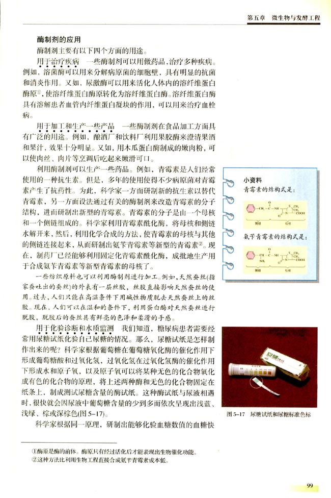 第四节 酶工程简介（选学）(第99页)