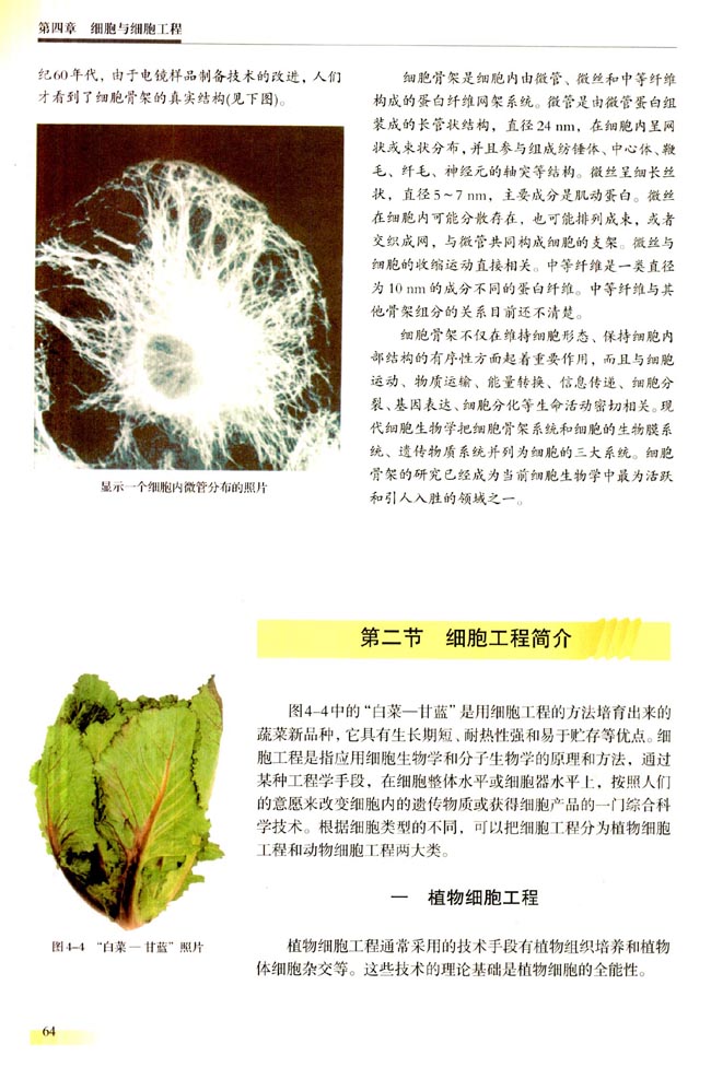 第二节 细胞工程简介(第64页)
