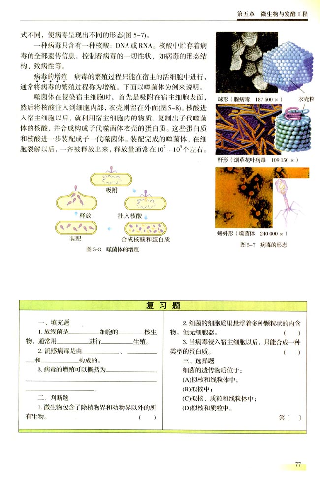 第一节 微生物的类群(第77页)
