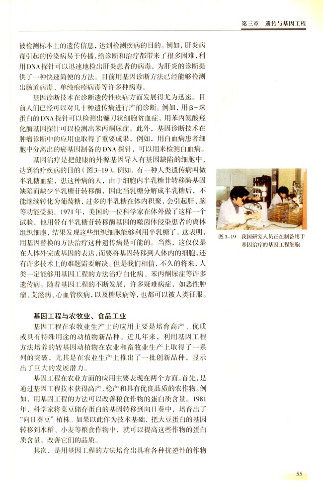 二 基因工程的成果与发展前景(第55页)