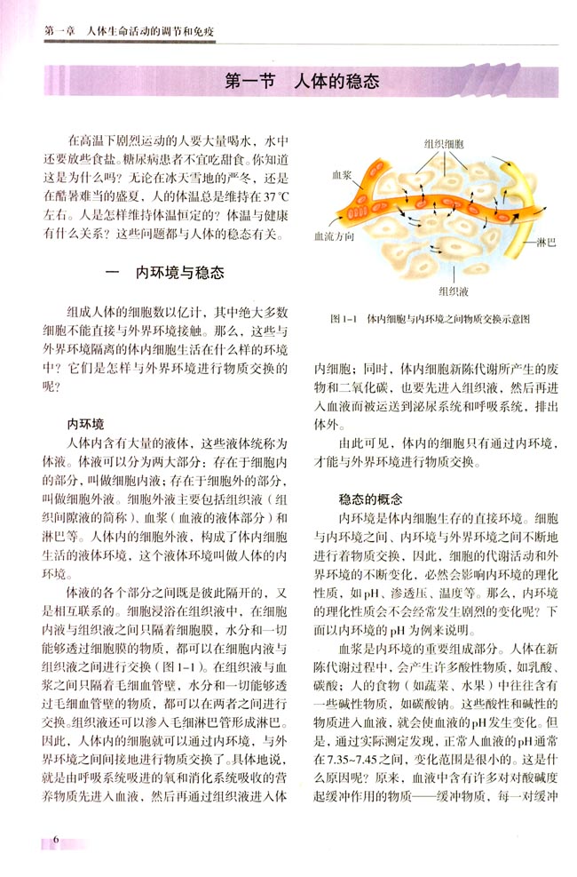 第一节 人体的稳态(第6页)
