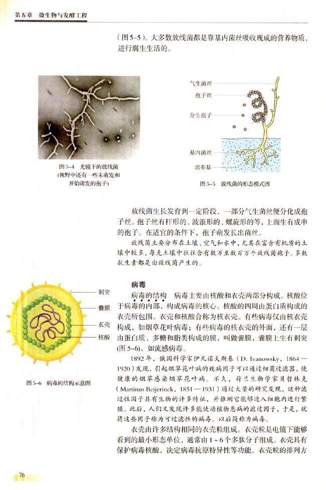 第一节 微生物的类群(第76页)