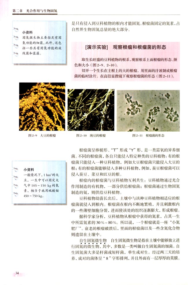第二节 生物固氮(第34页)