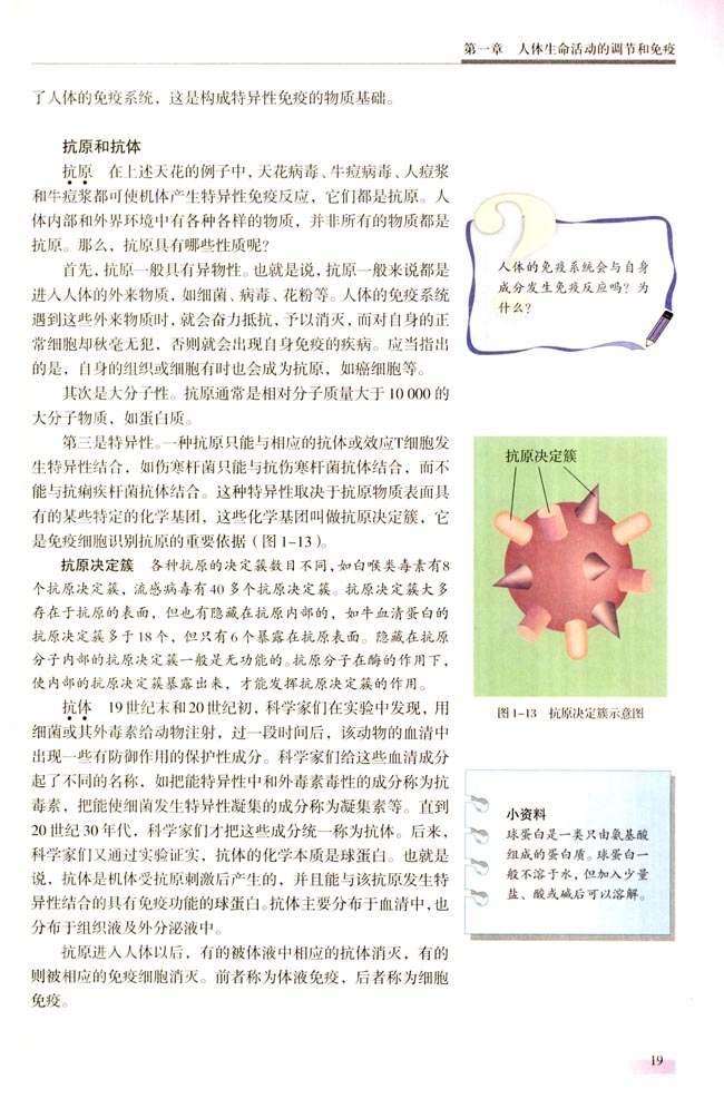 一 特异性免疫(第19页)